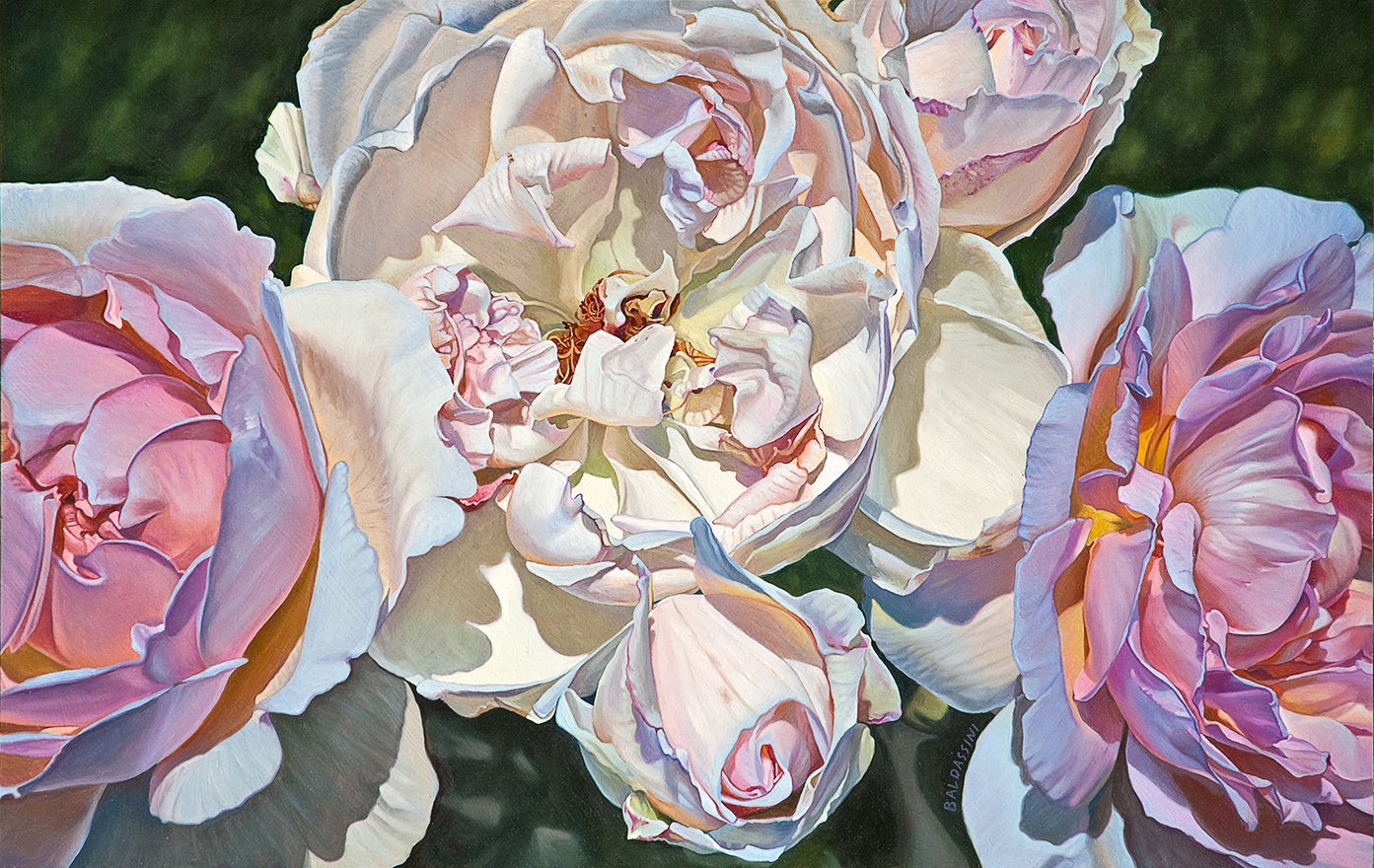 baldassini-floral-flower-garden-oil-painting-white-pink-roses