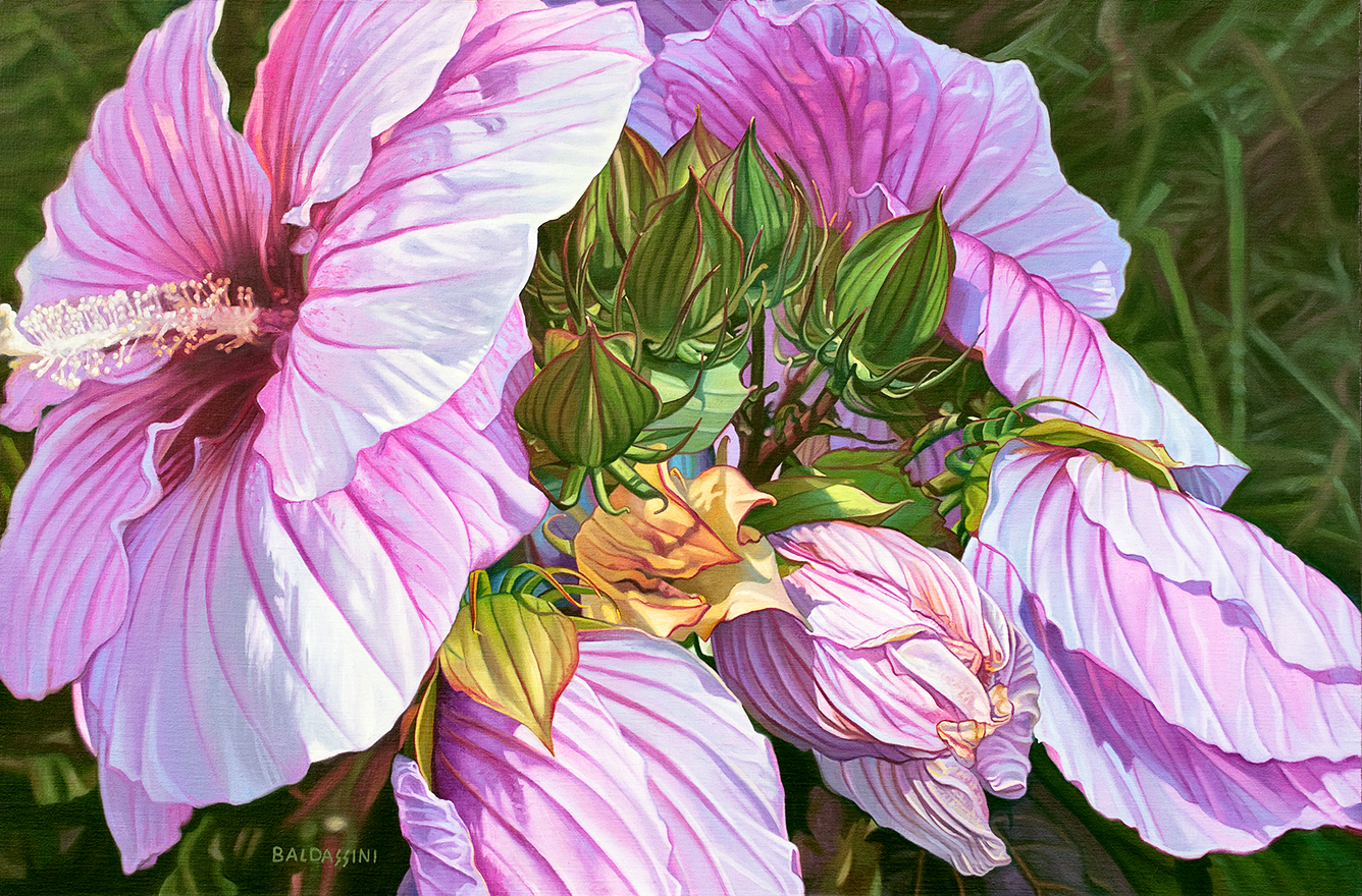 baldassini-floral-flower-garden-oil-painting-hibiscus