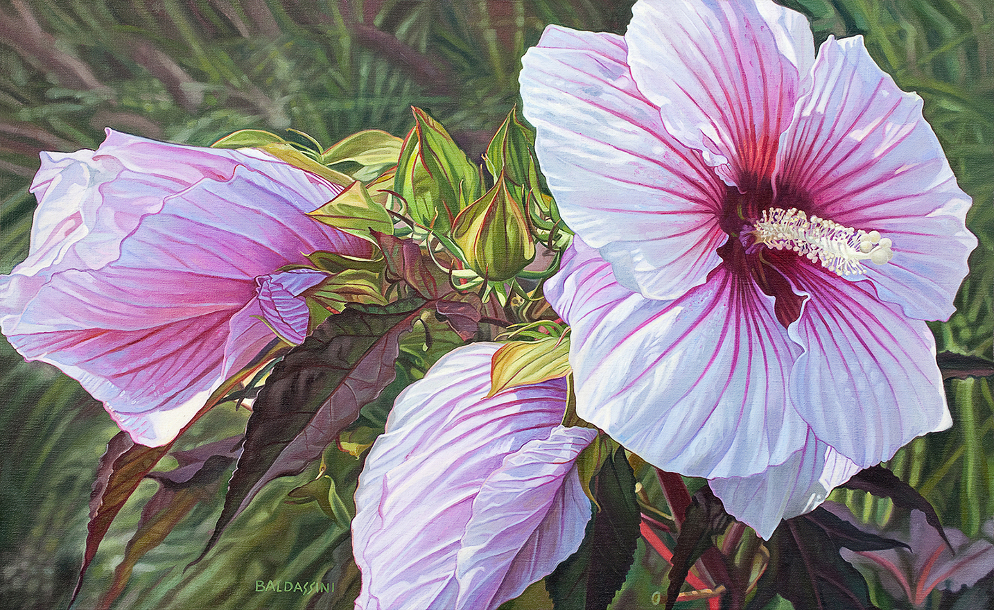 baldassini-floral-flower-garden-oil-painting-hibiscus