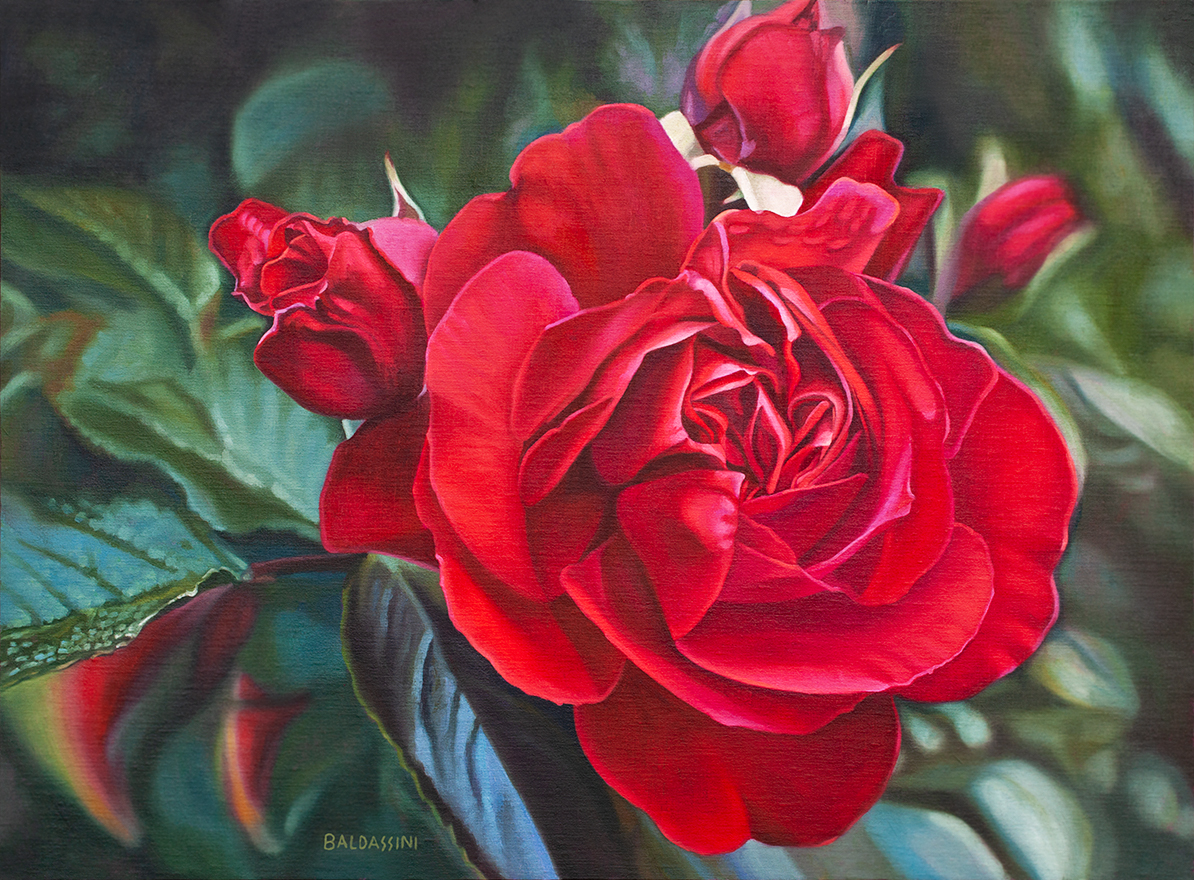 baldassini-floral-flower-garden-oil-painting-red-rose
