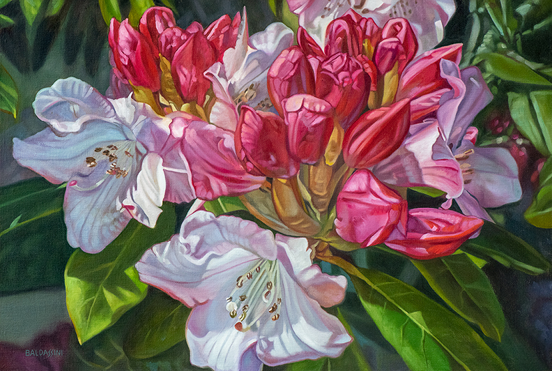 oil painting of rhododendron in-progress final