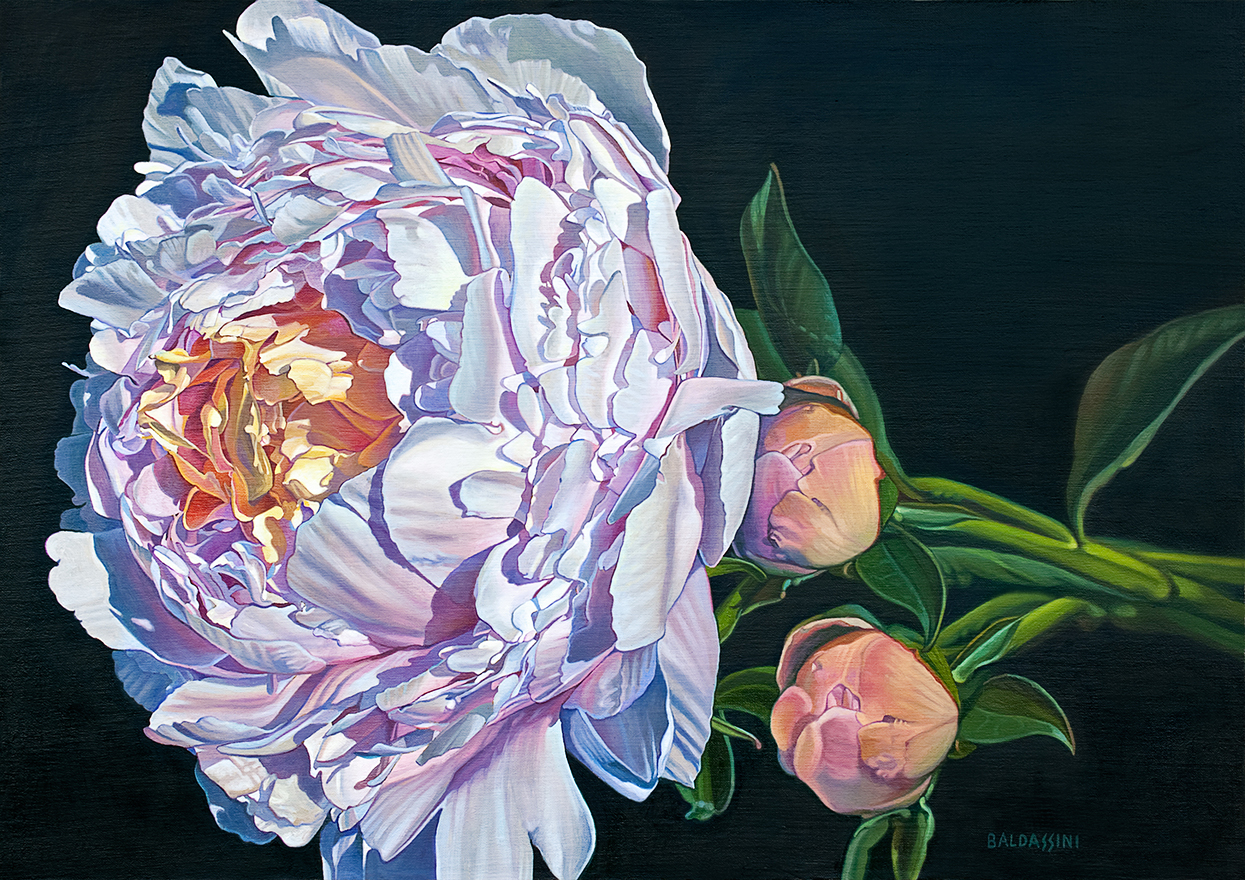 baldassini-floral-flower-garden-oil-painting-dinnerplate-peony