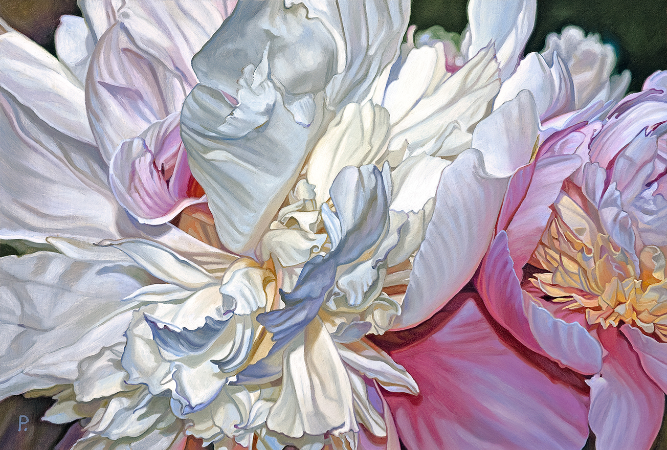 baldassini-floral-flower-garden-oil-painting-peony