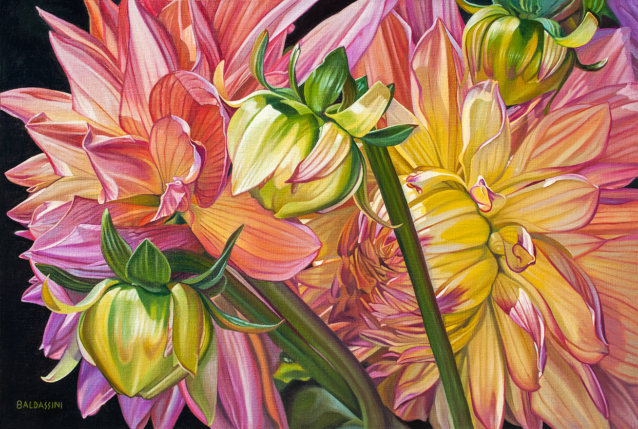 baldassini-floral-flower-garden-oil-painting-dahlias