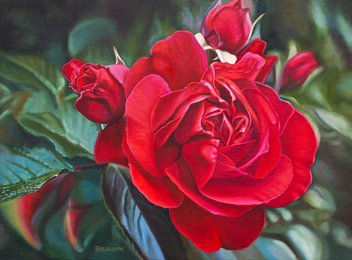 baldassini-floral-flower-garden-oil-painting-roses
