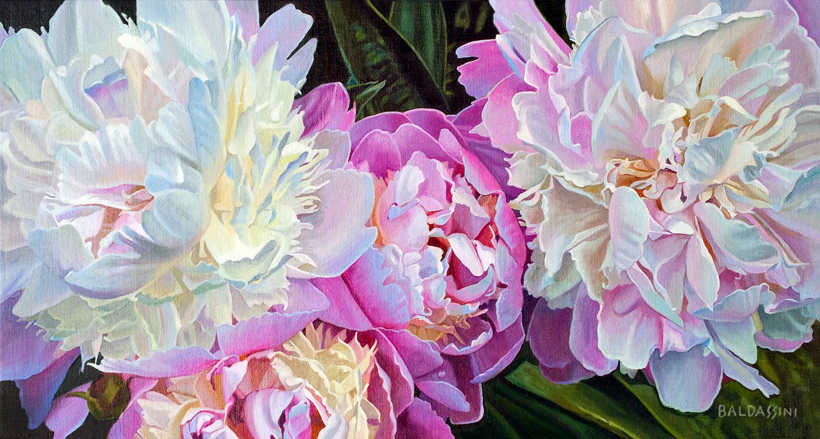 baldassini-floral-flower-garden-oil-painting-peony