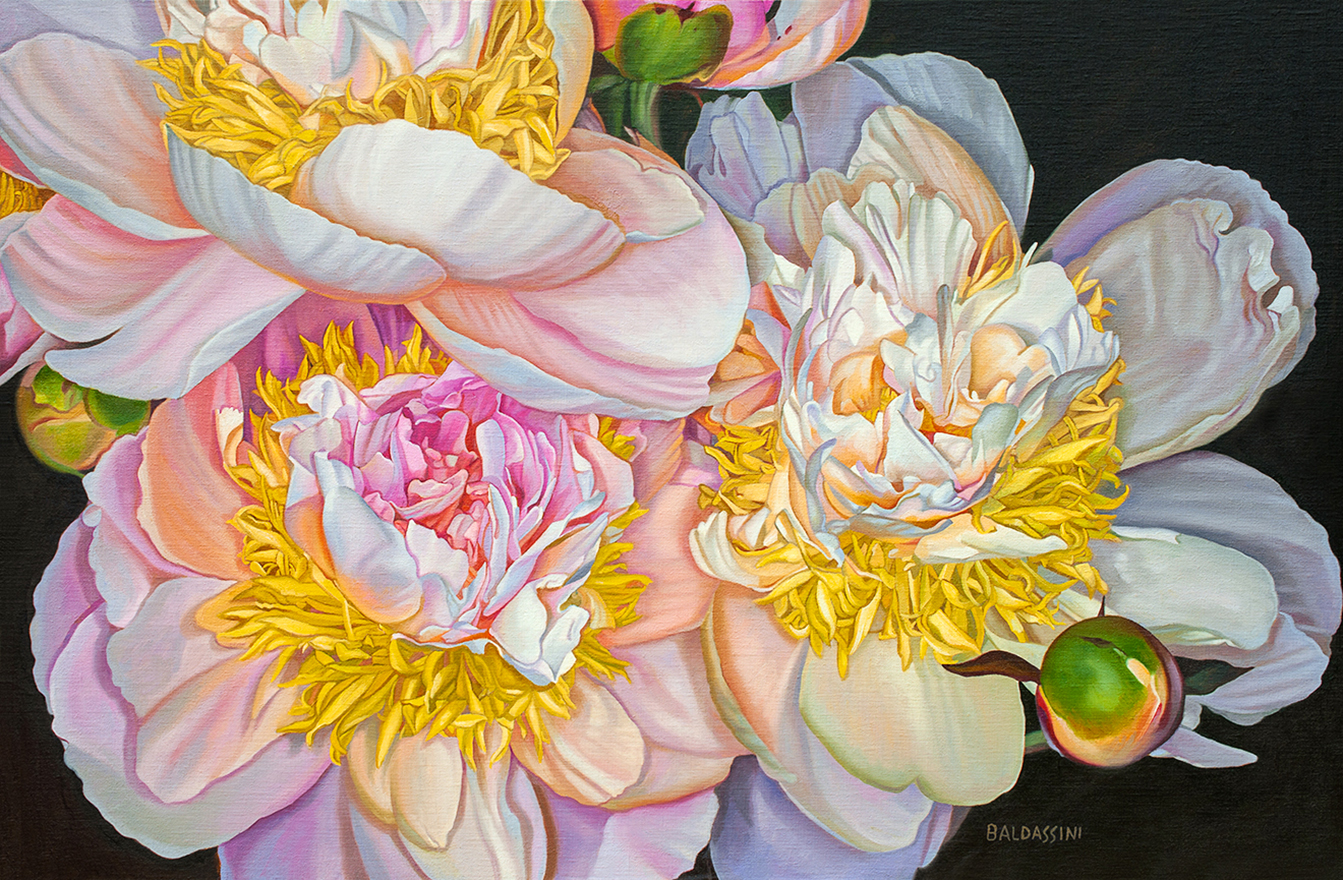 baldassini-floral-flower-garden-oil-painting-peonies