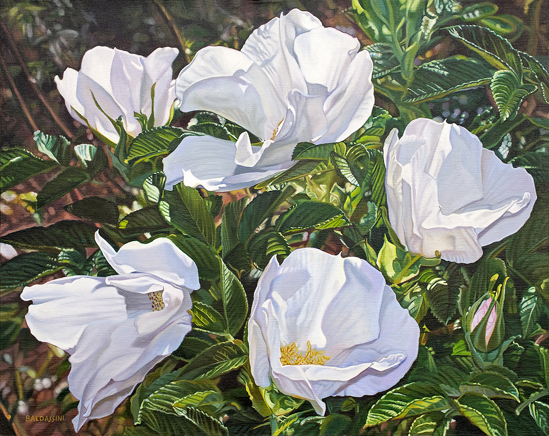 baldassini-floral-flower-garden-oil-painting-roses