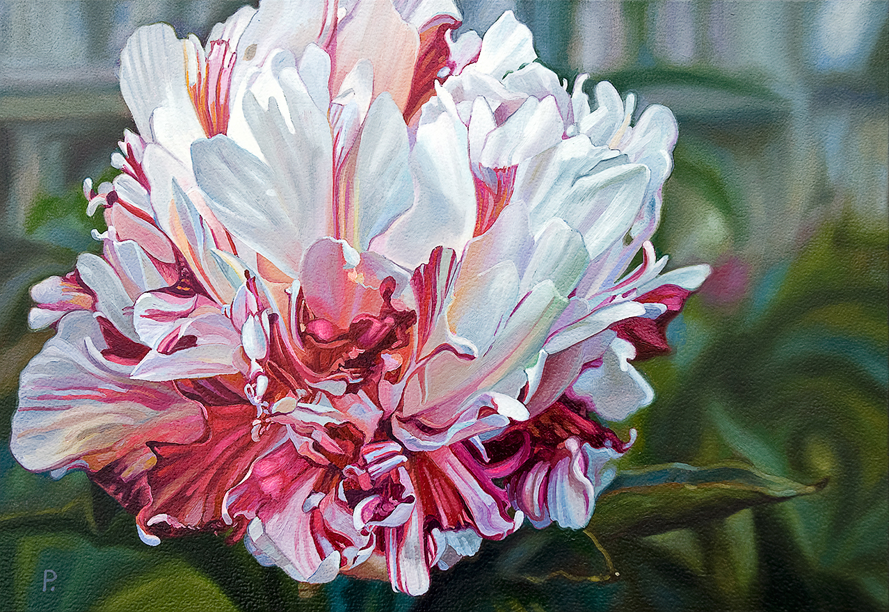 baldassini-floral-flower-garden-oil-painting-peony