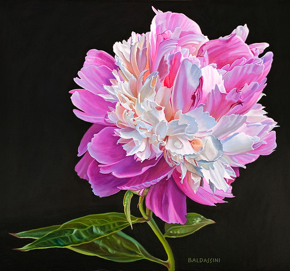 baldassini-floral-flower-garden-oil-painting-peony