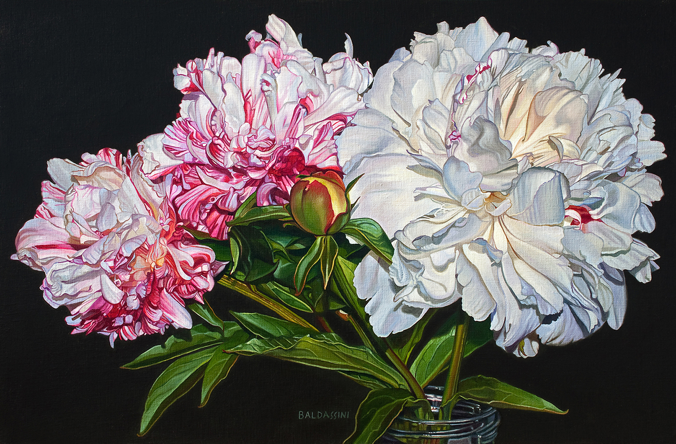 baldassini-floral-flower-garden-oil-painting-peony