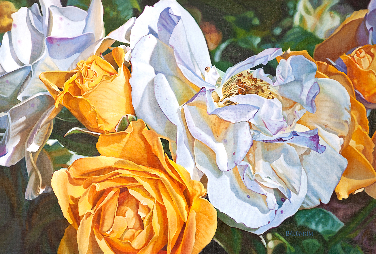 baldassini-floral-flower-garden-oil-painting-roses