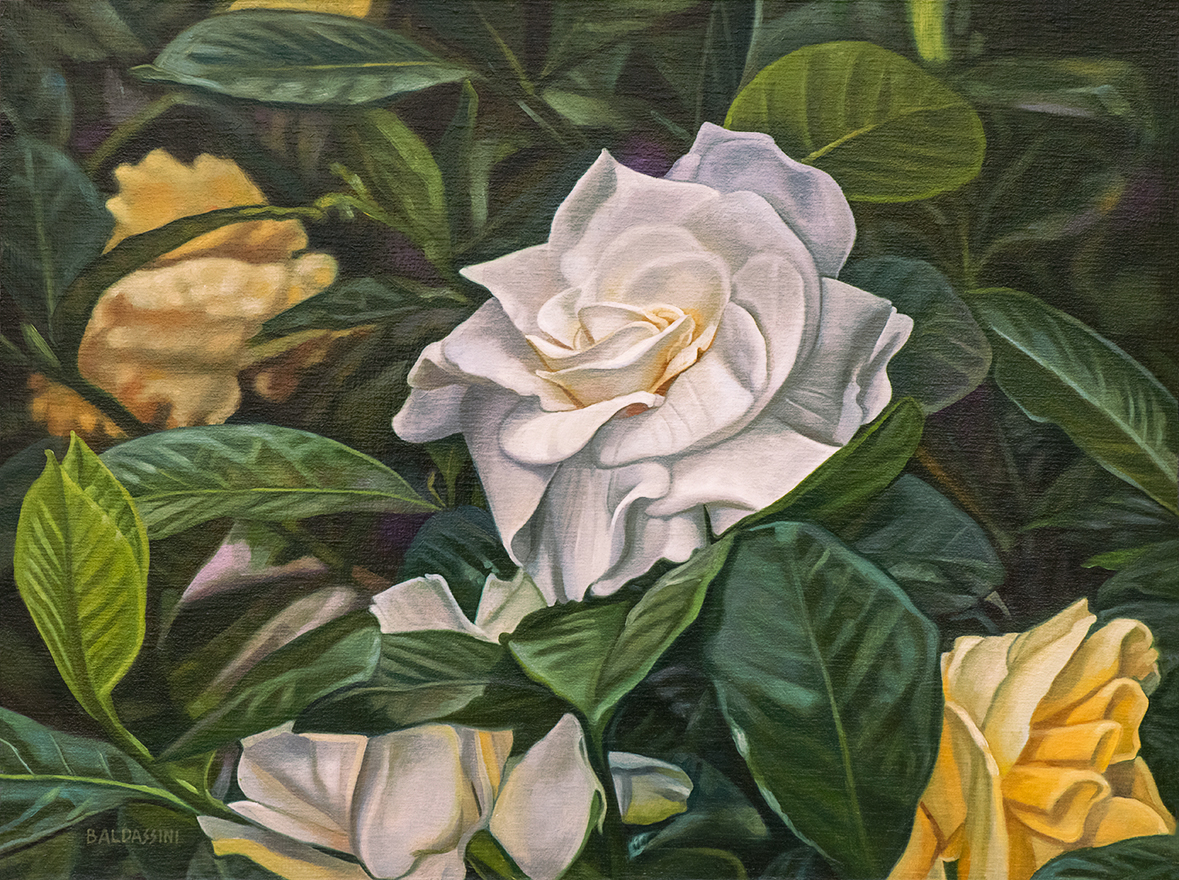 baldassini-floral-flower-garden-oil-painting-gardenia