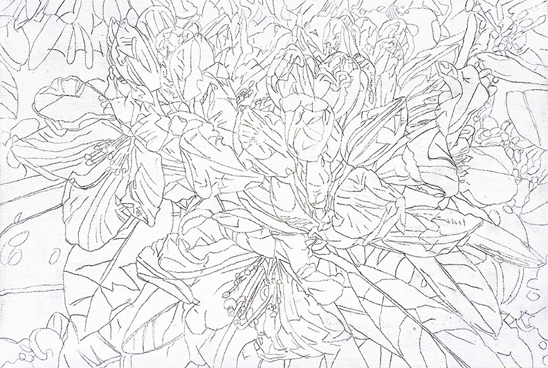 oil painting of rhododendron in-progress drawing