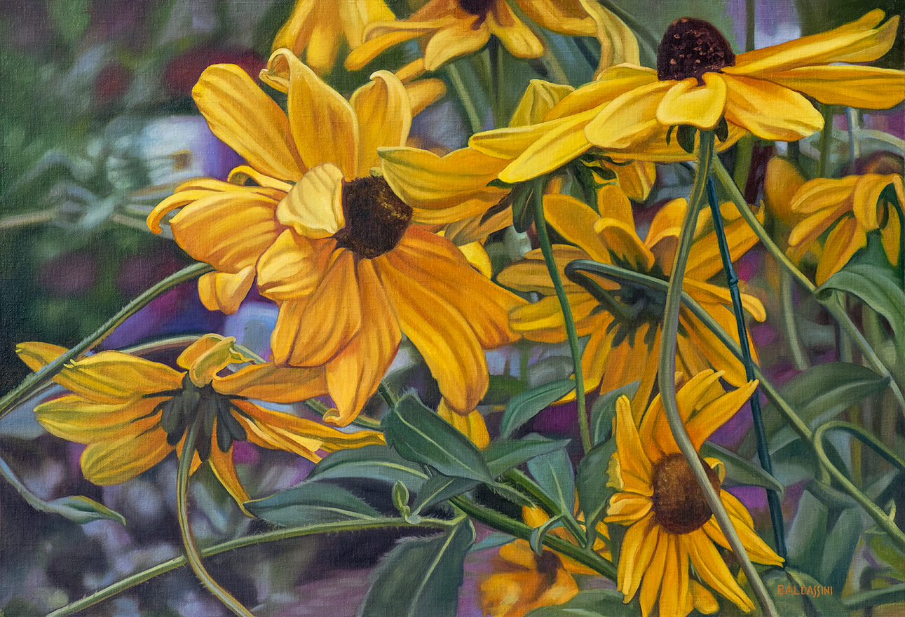 baldassini-floral-flower-garden-oil-painting-coneflowers