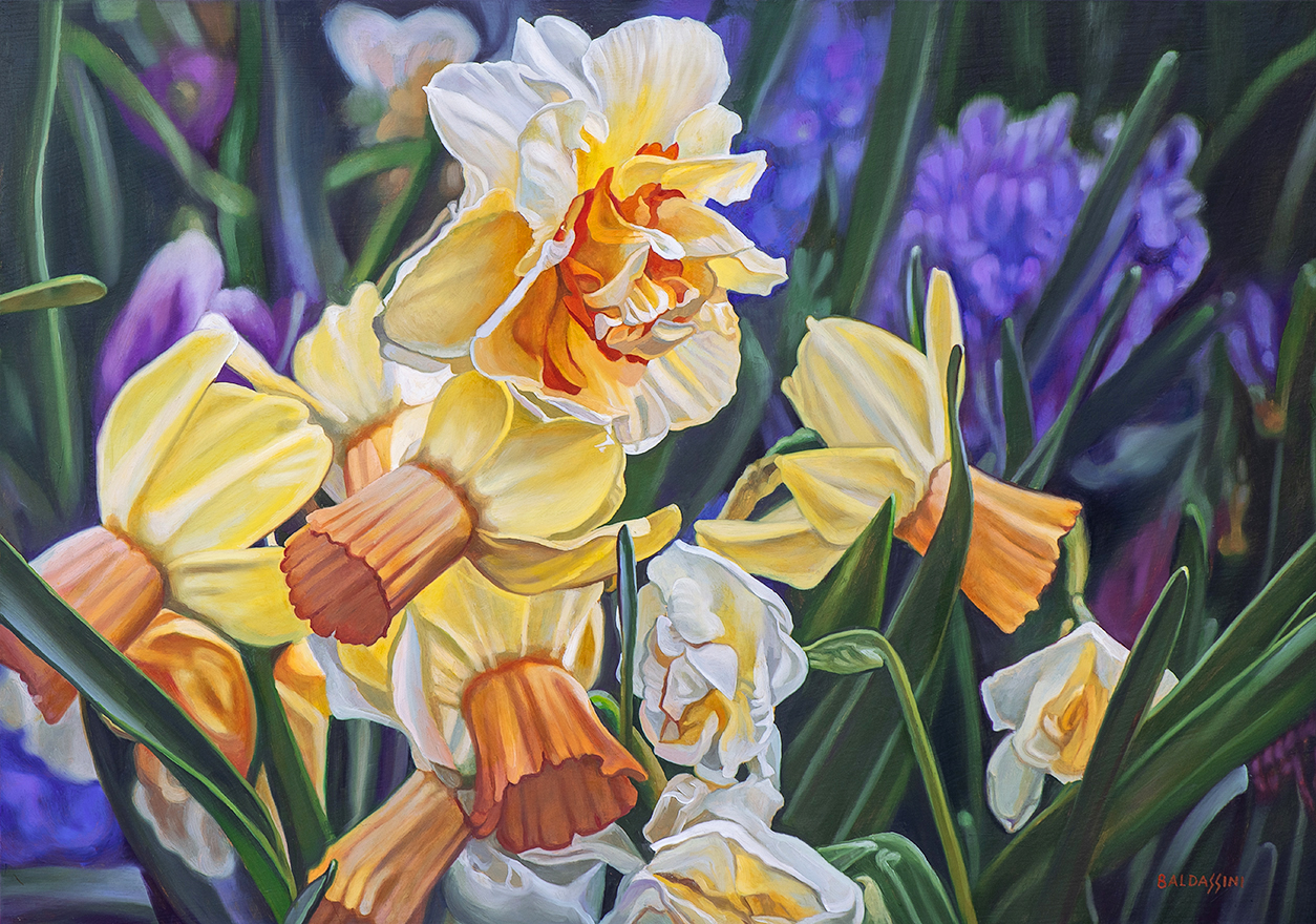 baldassini-floral-flower-garden-oil-painting-daffofils