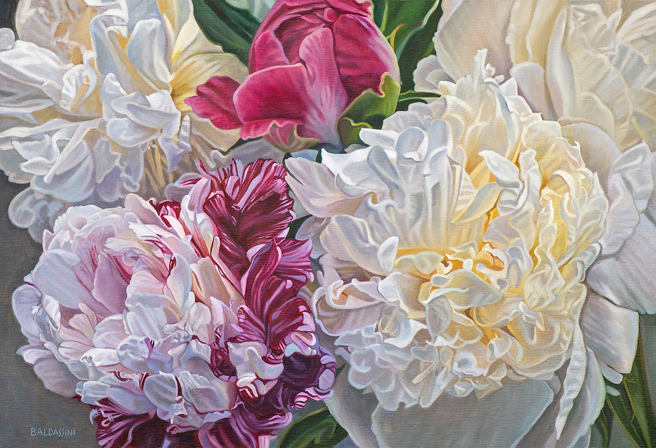 baldassini-floral-flower-garden-oil-painting-peony