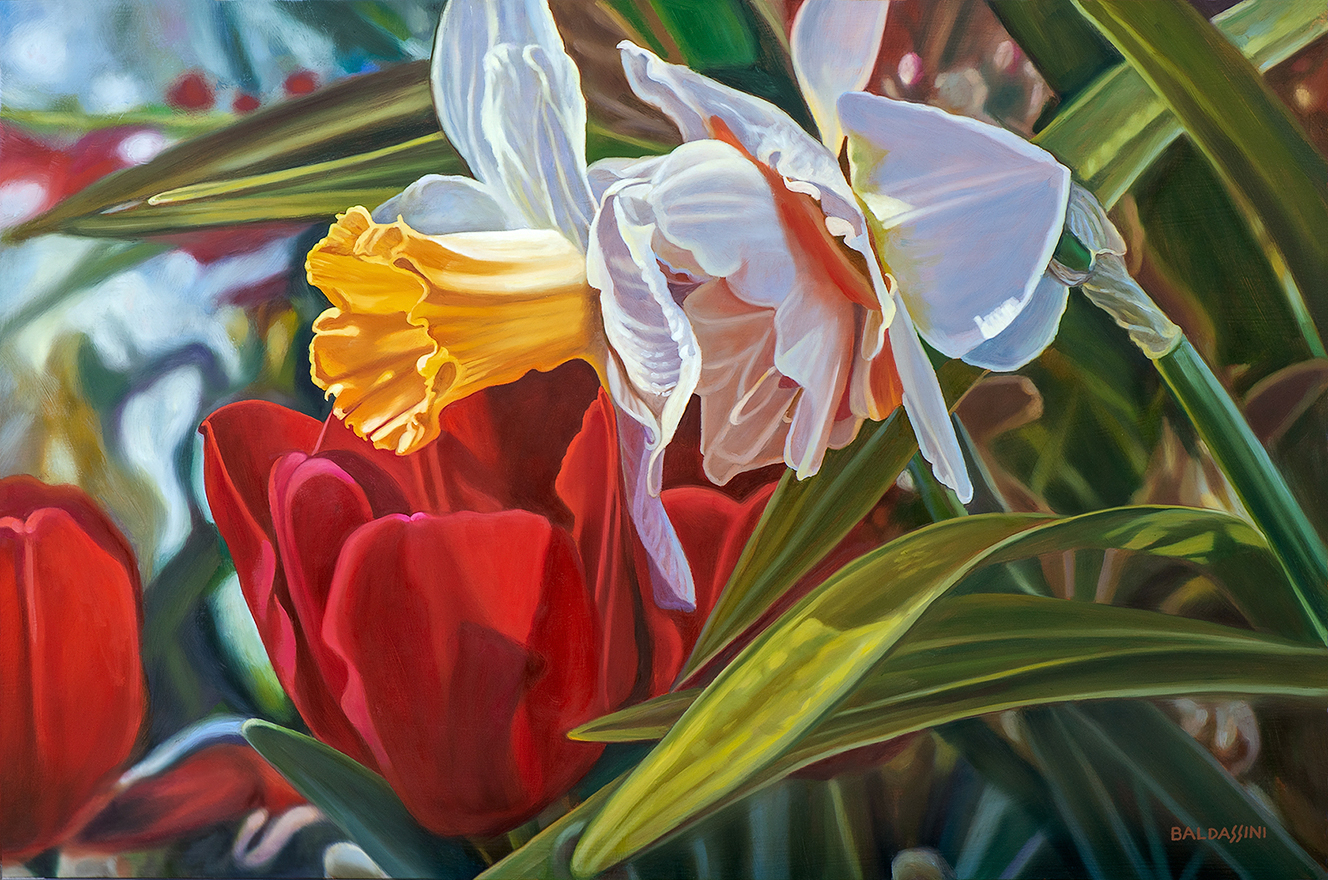 baldassini-floral-flower-garden-oil-painting-tulips-daffofils