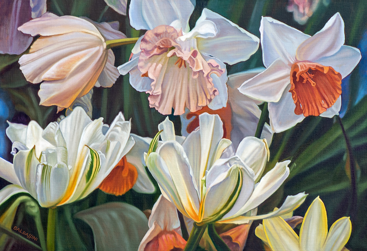 baldassini-floral-flower-garden-oil-painting-tulips-daffofils